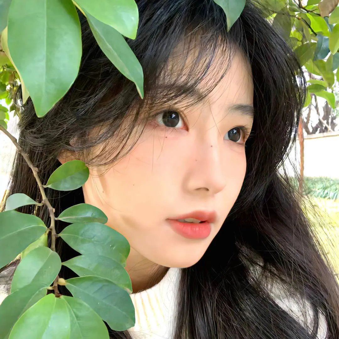 淑女宠爱